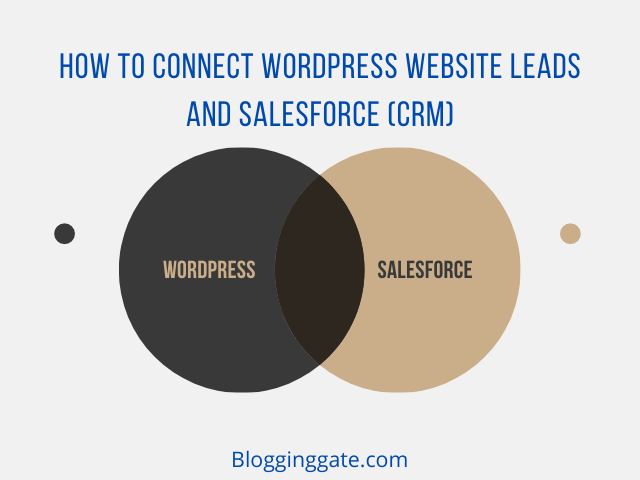 How to Connect WordPress Website Leads And Salesforce (CRM)